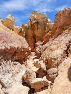 Filename=DSCN1670.JPG
Filesize=6788KiB
Dimensions=3456x4608
Date added=Jul 08, 2022 DSCN1670.JPG