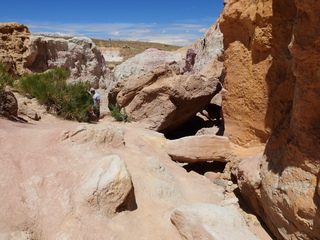 Filename=DSCN1675.JPG
Filesize=6733KiB
Dimensions=4608x3456
Date added=Jul 08, 2022 DSCN1675.JPG