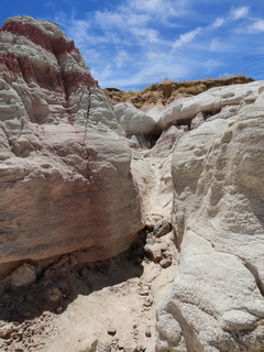 Filename=DSCN1681.JPG
Filesize=6638KiB
Dimensions=3456x4608
Date added=Jul 08, 2022 DSCN1681.JPG