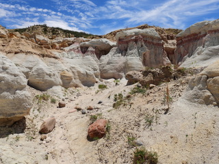 Filename=DSCN1686.JPG
Filesize=6949KiB
Dimensions=4608x3456
Date added=Jul 08, 2022 DSCN1686.JPG