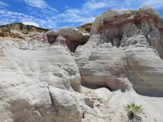 Filename=DSCN1689.JPG
Filesize=7088KiB
Dimensions=4608x3456
Date added=Jul 08, 2022 DSCN1689.JPG