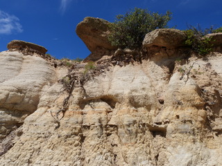 Filename=DSCN1692.JPG
Filesize=6804KiB
Dimensions=4608x3456
Date added=Jul 08, 2022 DSCN1692.JPG