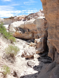 Filename=DSCN1701.JPG
Filesize=6588KiB
Dimensions=3456x4608
Date added=Jul 08, 2022 DSCN1701.JPG