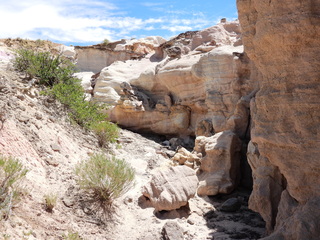 Filename=DSCN1702.JPG
Filesize=6990KiB
Dimensions=4608x3456
Date added=Jul 08, 2022 DSCN1702.JPG