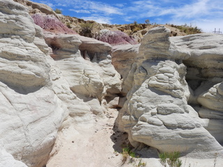 Filename=DSCN1715.JPG
Filesize=7131KiB
Dimensions=4608x3456
Date added=Jul 08, 2022 DSCN1715.JPG