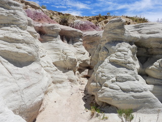 Filename=DSCN1716.JPG
Filesize=7183KiB
Dimensions=4608x3456
Date added=Jul 08, 2022 DSCN1716.JPG