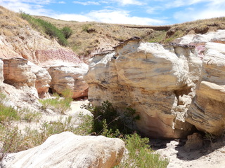 Filename=DSCN1725.JPG
Filesize=7091KiB
Dimensions=4608x3456
Date added=Jul 08, 2022 DSCN1725.JPG