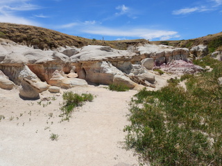 Filename=DSCN1728.JPG
Filesize=6856KiB
Dimensions=4608x3456
Date added=Jul 08, 2022 DSCN1728.JPG