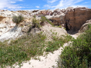 Filename=DSCN1736.JPG
Filesize=7264KiB
Dimensions=4608x3456
Date added=Jul 08, 2022 DSCN1736.JPG