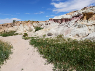 Filename=DSCN1737.JPG
Filesize=5542KiB
Dimensions=4608x3456
Date added=Jul 08, 2022 DSCN1737.JPG