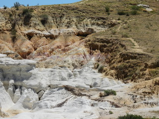 Filename=DSCN1742.JPG
Filesize=7036KiB
Dimensions=4608x3456
Date added=Jul 08, 2022 DSCN1742.JPG