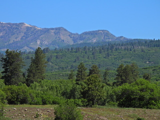 Filename=DSCN2424~0.JPG
Filesize=6930KiB
Dimensions=4608x3456
Date added=Jun 22, 2023 DSCN2424~0.JPG