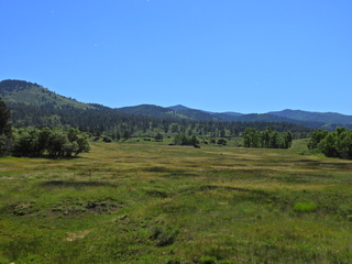 Filename=DSCN2425~0.JPG
Filesize=6882KiB
Dimensions=4608x3456
Date added=Jun 22, 2023 DSCN2425~0.JPG