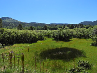 Filename=DSCN2426~0.JPG
Filesize=6284KiB
Dimensions=4608x3456
Date added=Jun 22, 2023 DSCN2426~0.JPG