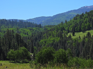 Filename=DSCN2428~0.JPG
Filesize=6731KiB
Dimensions=4608x3456
Date added=Jun 22, 2023 DSCN2428~0.JPG