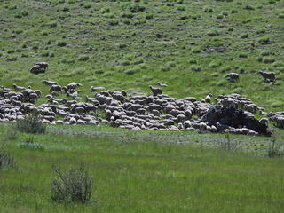 Filename=DSCN2429~0.JPG
Filesize=7075KiB
Dimensions=4608x3456
Date added=Jun 22, 2023 DSCN2429~0.JPG