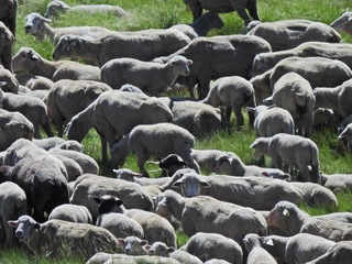 Filename=DSCN2431~0.JPG
Filesize=6864KiB
Dimensions=4608x3456
Date added=Jun 22, 2023 DSCN2431~0.JPG