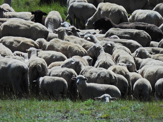 Filename=DSCN2433~0.JPG
Filesize=6841KiB
Dimensions=4608x3456
Date added=Jun 22, 2023 DSCN2433~0.JPG