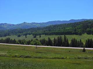 Filename=DSCN2437~0.JPG
Filesize=6508KiB
Dimensions=4608x3456
Date added=Jun 22, 2023 DSCN2437~0.JPG