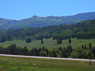 Filename=DSCN2438~0.JPG
Filesize=6860KiB
Dimensions=4608x3456
Date added=Jun 22, 2023 DSCN2438~0.JPG