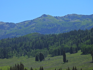 Filename=DSCN2439~0.JPG
Filesize=7342KiB
Dimensions=4608x3456
Date added=Jun 22, 2023 DSCN2439~0.JPG