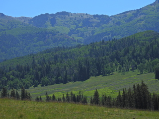 Filename=DSCN2440~0.JPG
Filesize=6785KiB
Dimensions=4608x3456
Date added=Jun 22, 2023 DSCN2440~0.JPG