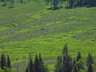 Filename=DSCN2443~0.JPG
Filesize=7171KiB
Dimensions=4608x3456
Date added=Jun 22, 2023 DSCN2443~0.JPG