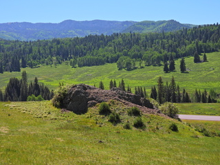 Filename=DSCN2445~0.JPG
Filesize=6909KiB
Dimensions=4608x3456
Date added=Jun 22, 2023 DSCN2445~0.JPG