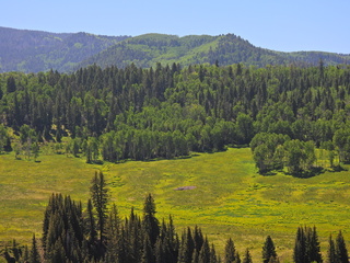 Filename=DSCN2446~0.JPG
Filesize=6790KiB
Dimensions=4608x3456
Date added=Jun 22, 2023 DSCN2446~0.JPG