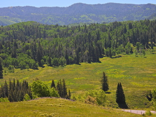 Filename=DSCN2447~0.JPG
Filesize=7118KiB
Dimensions=4608x3456
Date added=Jun 22, 2023 DSCN2447~0.JPG