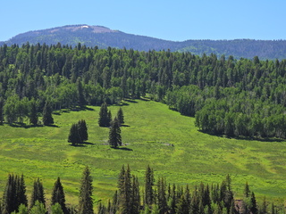 Filename=DSCN2448~0.JPG
Filesize=6620KiB
Dimensions=4608x3456
Date added=Jun 22, 2023 DSCN2448~0.JPG