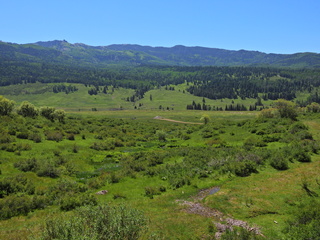 Filename=DSCN2454~0.JPG
Filesize=6635KiB
Dimensions=4608x3456
Date added=Jun 22, 2023 DSCN2454~0.JPG