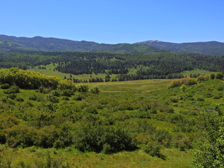 Filename=DSCN2455~0.JPG
Filesize=6632KiB
Dimensions=4608x3456
Date added=Jun 22, 2023 DSCN2455~0.JPG