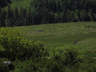 Filename=DSCN2456~0.JPG
Filesize=6585KiB
Dimensions=4608x3456
Date added=Jun 22, 2023 DSCN2456~0.JPG