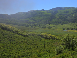 Filename=DSCN2457~0.JPG
Filesize=6984KiB
Dimensions=4608x3456
Date added=Jun 22, 2023 DSCN2457~0.JPG