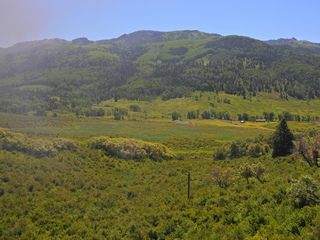 Filename=DSCN2458~0.JPG
Filesize=7073KiB
Dimensions=4608x3456
Date added=Jun 22, 2023 DSCN2458~0.JPG