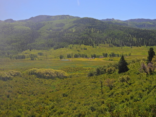 Filename=DSCN2459~0.JPG
Filesize=6953KiB
Dimensions=4608x3456
Date added=Jun 22, 2023 DSCN2459~0.JPG