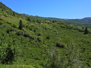 Filename=DSCN2461~0.JPG
Filesize=6955KiB
Dimensions=4608x3456
Date added=Jun 22, 2023 DSCN2461~0.JPG