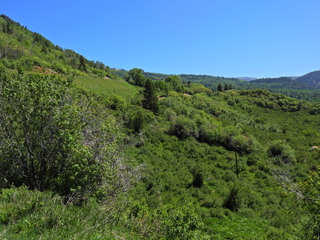 Filename=DSCN2462~0.JPG
Filesize=7104KiB
Dimensions=4608x3456
Date added=Jun 22, 2023 DSCN2462~0.JPG