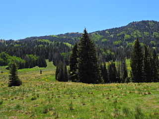 Filename=DSCN2464~0.JPG
Filesize=7268KiB
Dimensions=4608x3456
Date added=Jun 22, 2023 DSCN2464~0.JPG