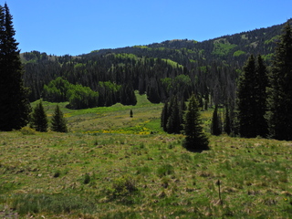 Filename=DSCN2465~0.JPG
Filesize=7319KiB
Dimensions=4608x3456
Date added=Jun 22, 2023 DSCN2465~0.JPG