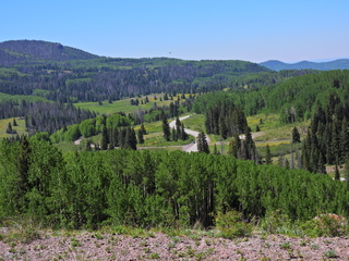 Filename=DSCN2470~0.JPG
Filesize=6790KiB
Dimensions=4608x3456
Date added=Jun 22, 2023 DSCN2470~0.JPG