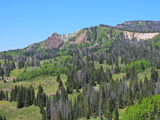 Filename=DSCN2472~0.JPG
Filesize=6971KiB
Dimensions=4608x3456
Date added=Jun 22, 2023 DSCN2472~0.JPG