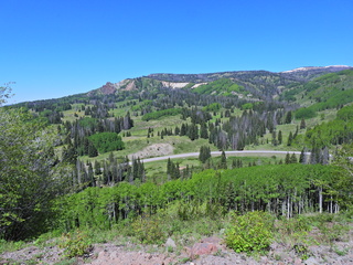 Filename=DSCN2474~0.JPG
Filesize=7446KiB
Dimensions=4608x3456
Date added=Jun 22, 2023 DSCN2474~0.JPG