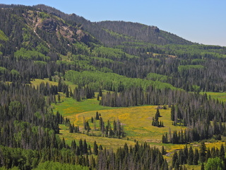 Filename=DSCN2476~0.JPG
Filesize=6789KiB
Dimensions=4608x3456
Date added=Jun 22, 2023 DSCN2476~0.JPG