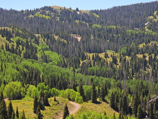 Filename=DSCN2478~0.JPG
Filesize=7201KiB
Dimensions=4608x3456
Date added=Jun 22, 2023 DSCN2478~0.JPG