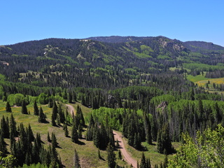 Filename=DSCN2480~0.JPG
Filesize=7065KiB
Dimensions=4608x3456
Date added=Jun 22, 2023 DSCN2480~0.JPG