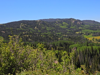 Filename=DSCN2481~0.JPG
Filesize=7203KiB
Dimensions=4608x3456
Date added=Jun 22, 2023 DSCN2481~0.JPG