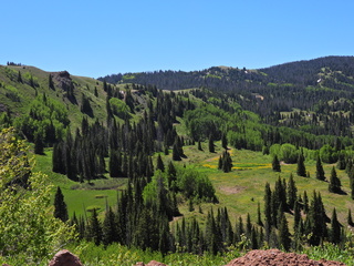 Filename=DSCN2482~0.JPG
Filesize=7194KiB
Dimensions=4608x3456
Date added=Jun 22, 2023 DSCN2482~0.JPG