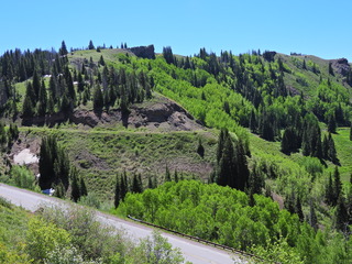 Filename=DSCN2484~0.JPG
Filesize=6750KiB
Dimensions=4608x3456
Date added=Jun 22, 2023 DSCN2484~0.JPG